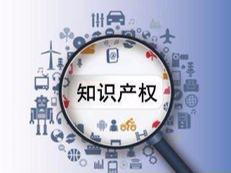 知識產權保護，助力小型企業發展